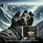 SHILAJIT HIMALAYA ⭐Aporta 84 minerales iónicos esenciales⭐✅ORIGINAL✅